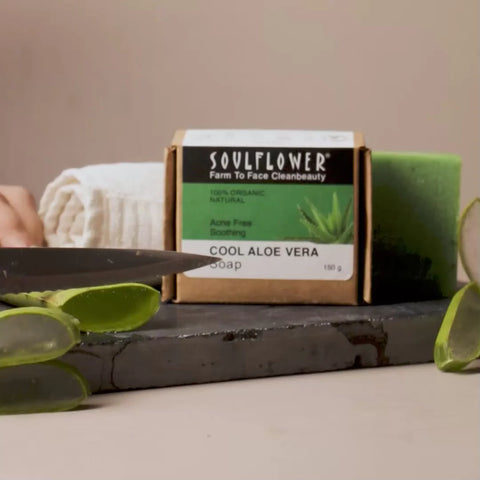 Make Your Own Aloe Vera Soap Right at Home