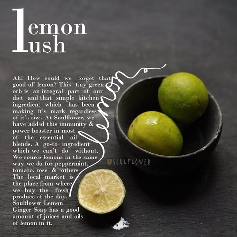 Lemon Lush