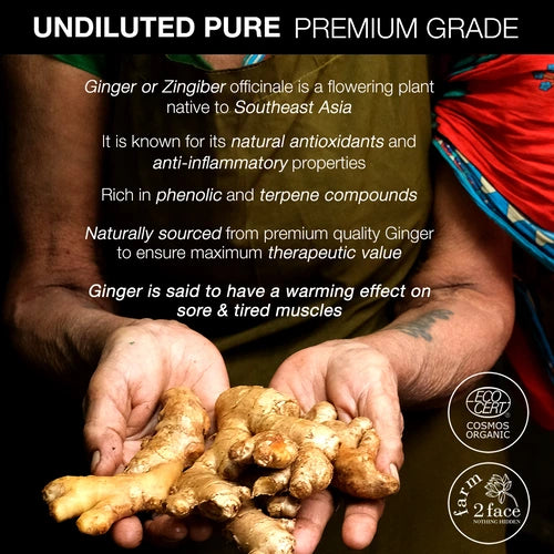 Image giving information about Ginger