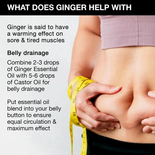 Ginger essential oil and what are its uses 