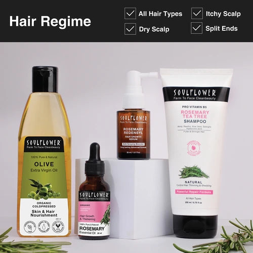 Hair regime including olive oil for damage repair in hair