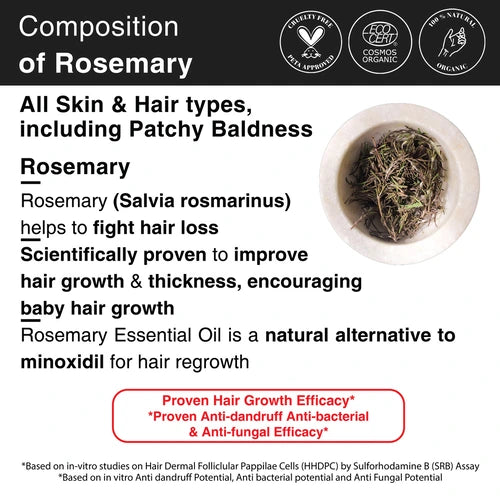 3x Rosemary for Moderate Hair Fall