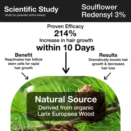 Scientific study showing benefits of larex europaea wood