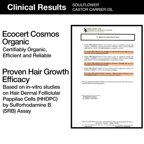 Certified Organic Castor Oil/Arandi Oil Clinically proven for Hair Growth